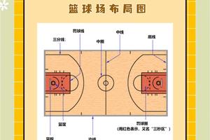 如何找到专业的篮球训练与发展蓝图:从初学者到职业球员的全面指南